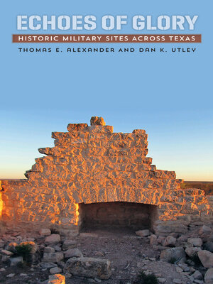 cover image of Echoes of Glory
